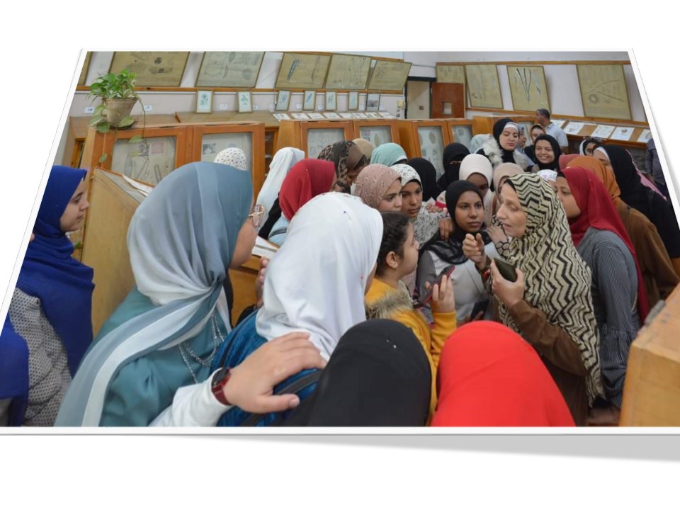 زيارة طلاب مدرسة الشهيد مصطفى على ابو العلا حمدون الثانوية المشتركة بأم القصور للكلية2