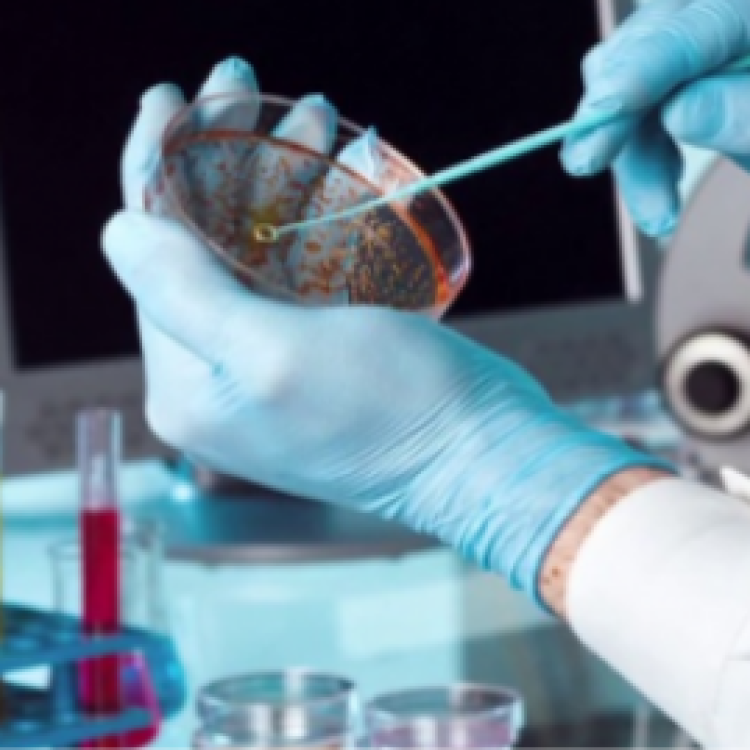 Department of Pharmaceutical Organic Chemistry