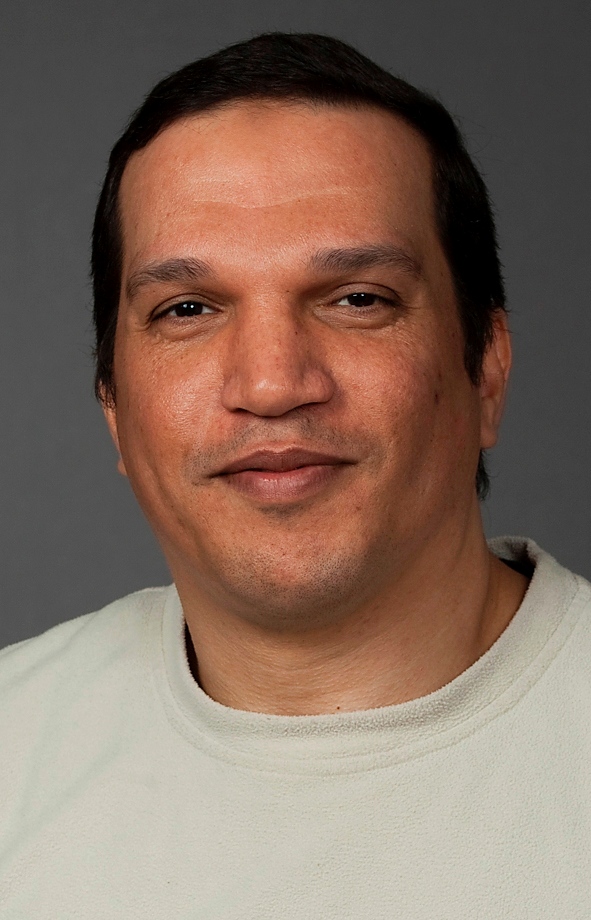 أ.د. حسن رفعت حسن على 