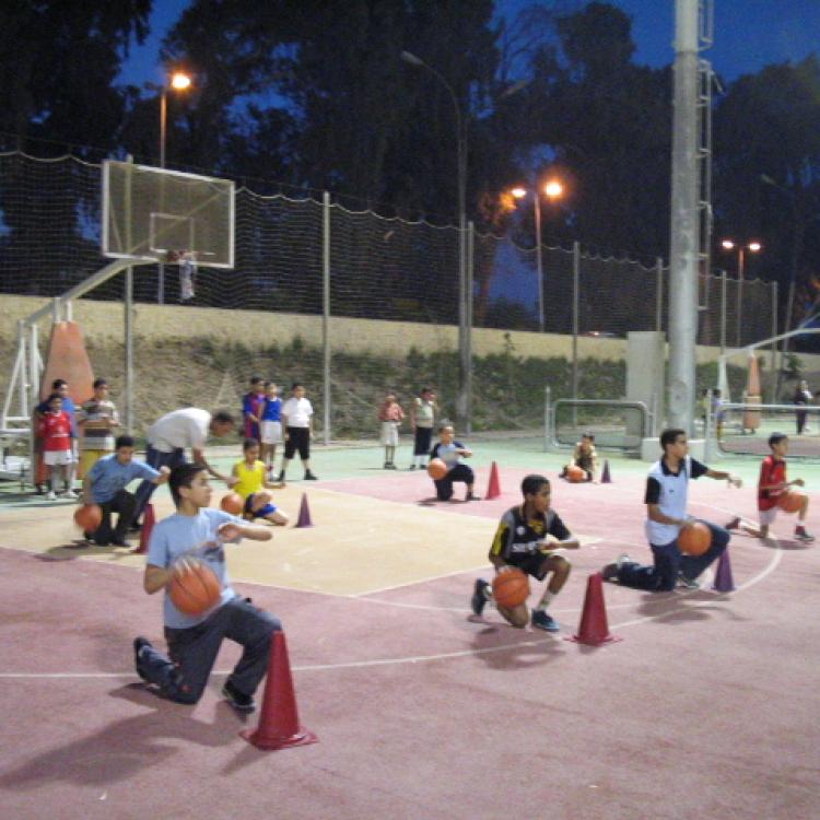 Department of Athletic Training and Movement Sciences