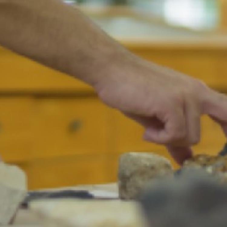 Department of Geology