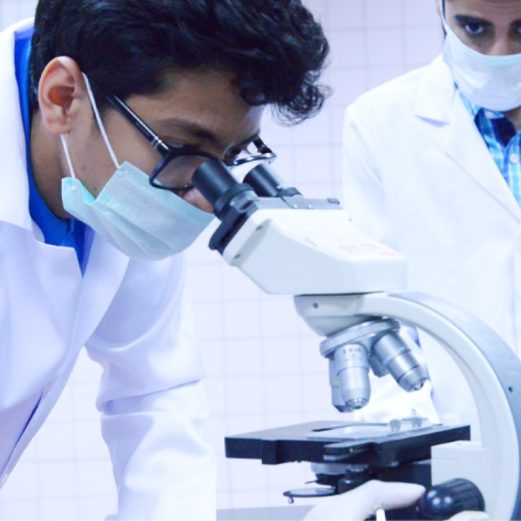 Department of vascular surgery 