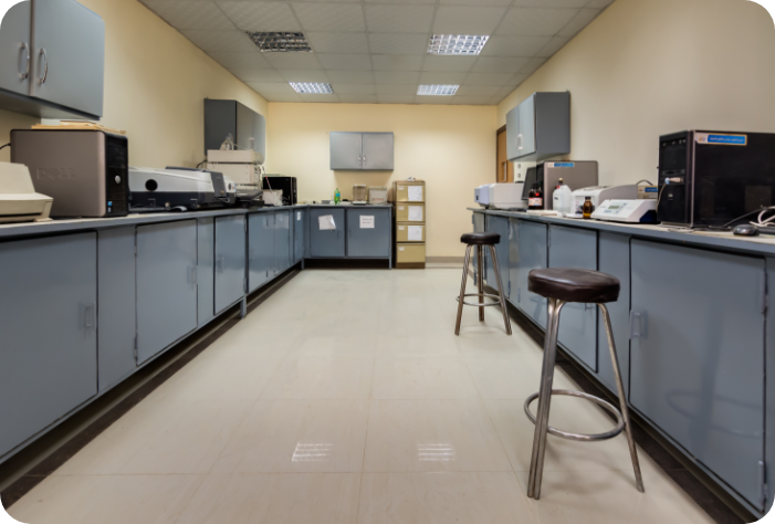 degrees & diploma pharmacy