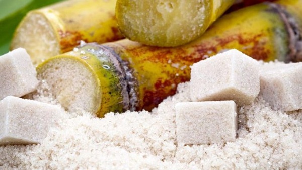 Science and Technology of the Sugar Industry