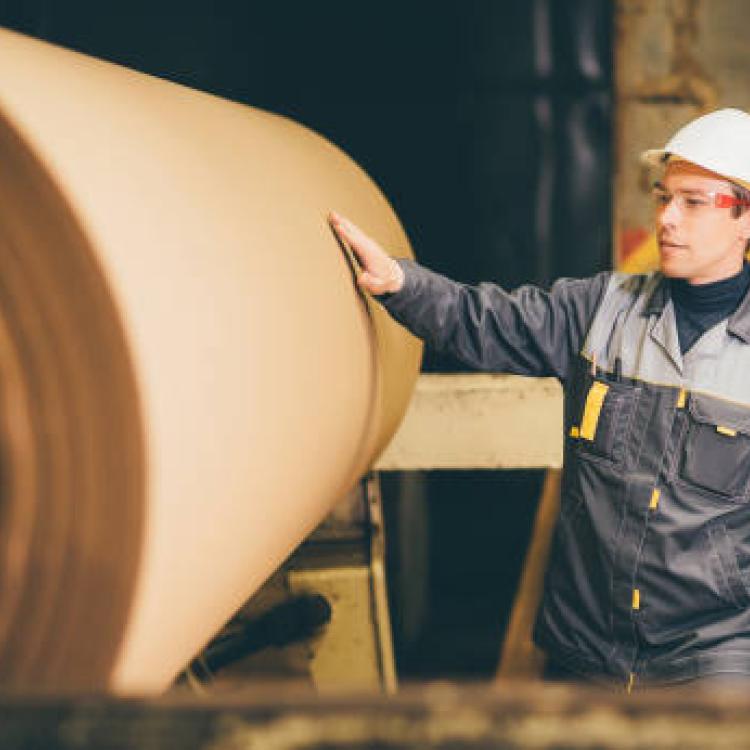 Science and Technology of Pulp, Paper and Board Industry Department