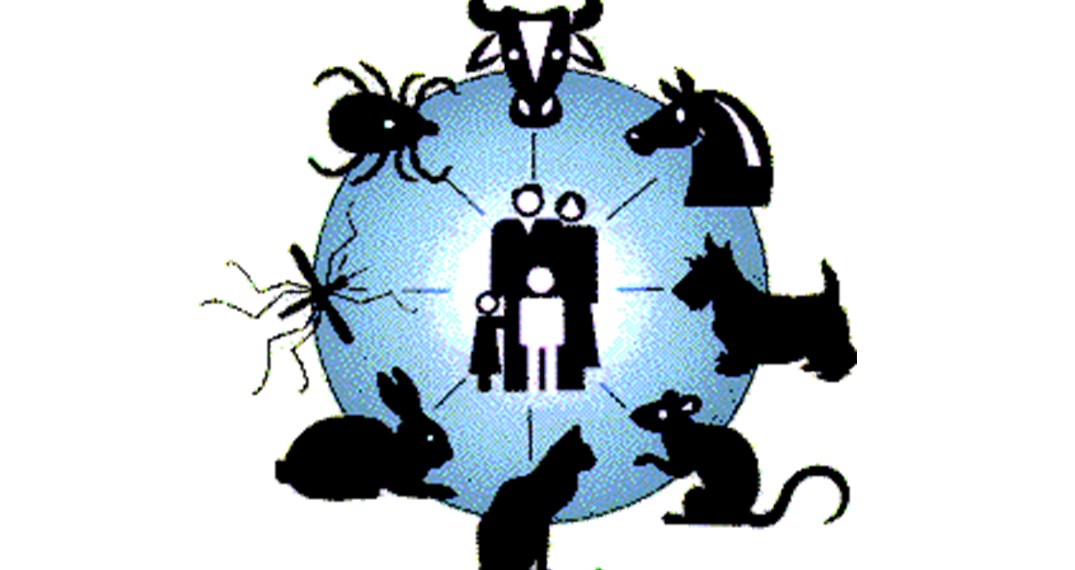 Department of Joint Diseases