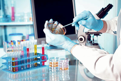 Department of Pathology