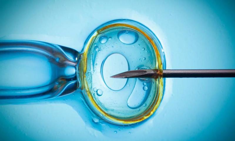 Department of Theriogenology