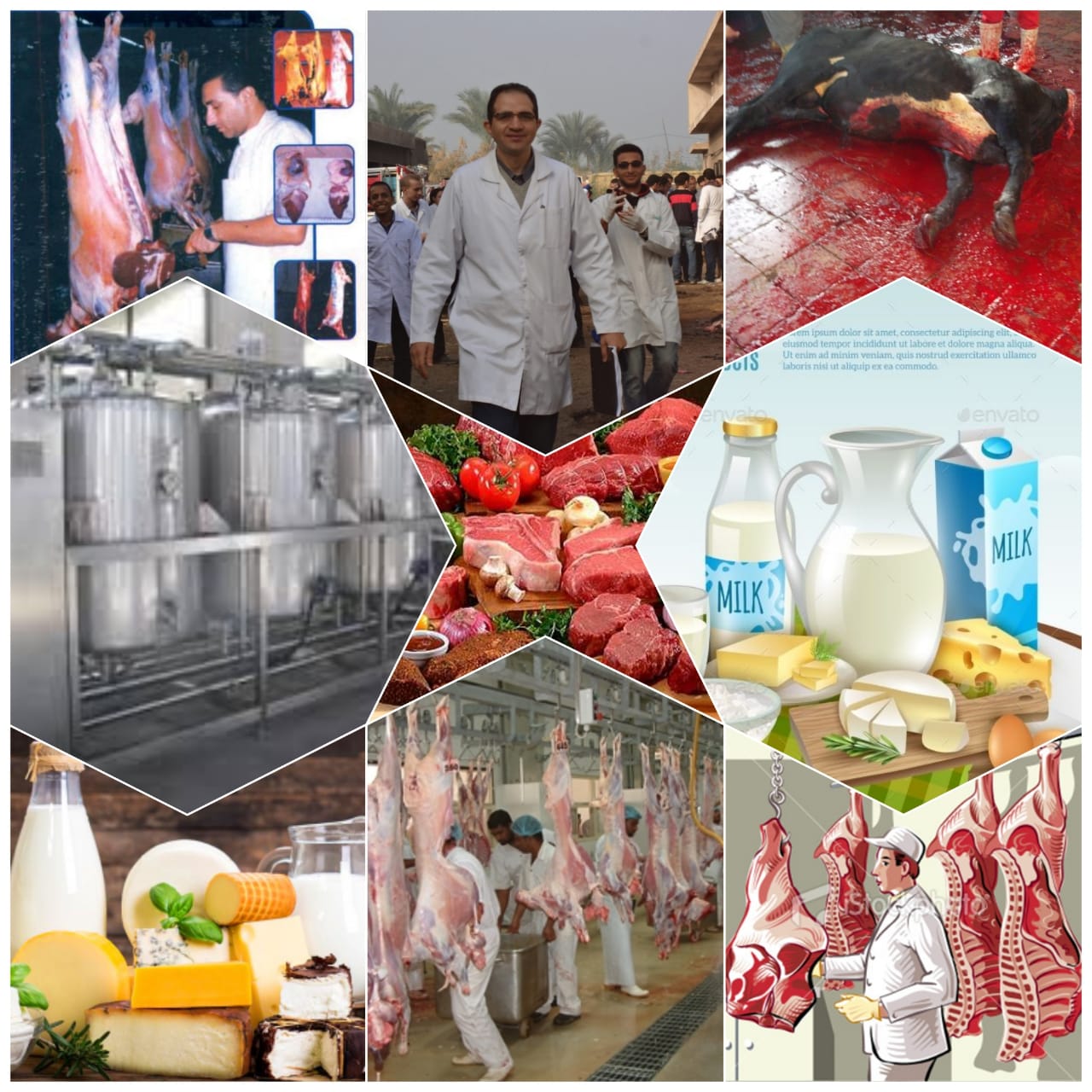 Department of Food Hygiene