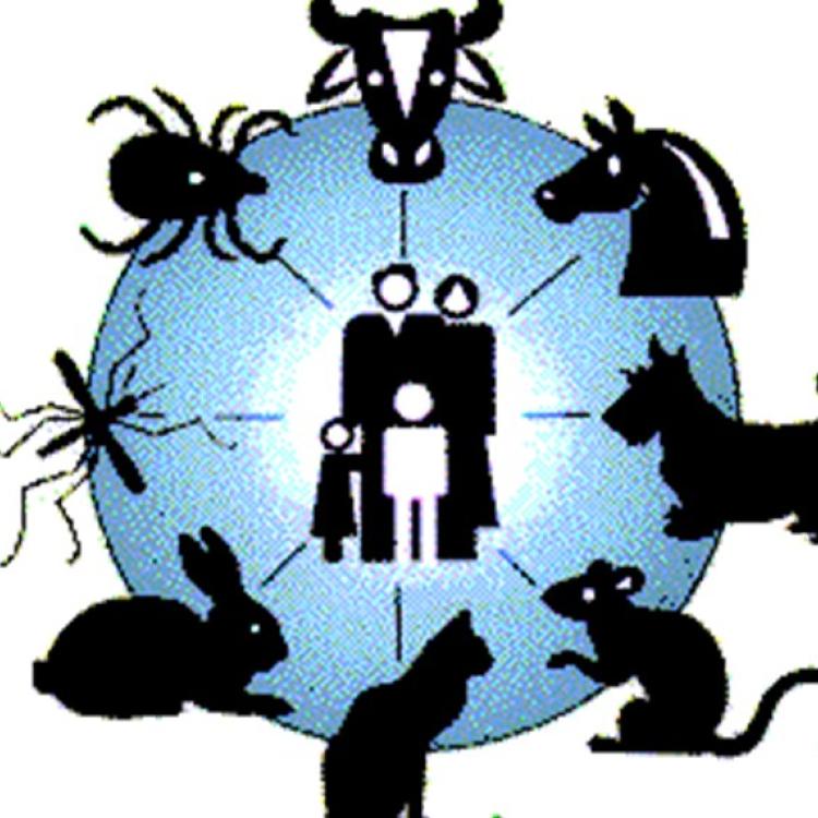 Department of Joint Diseases