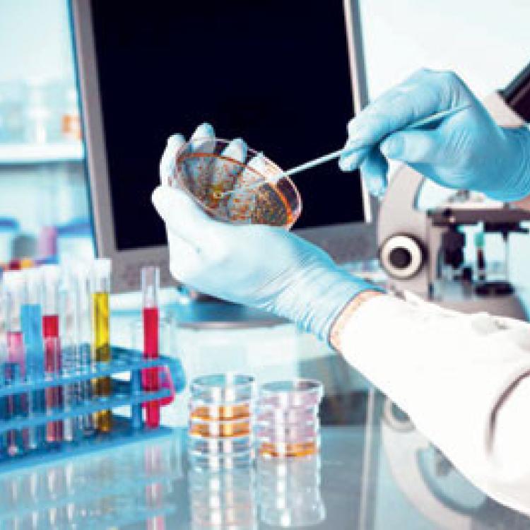 Department of Pathology