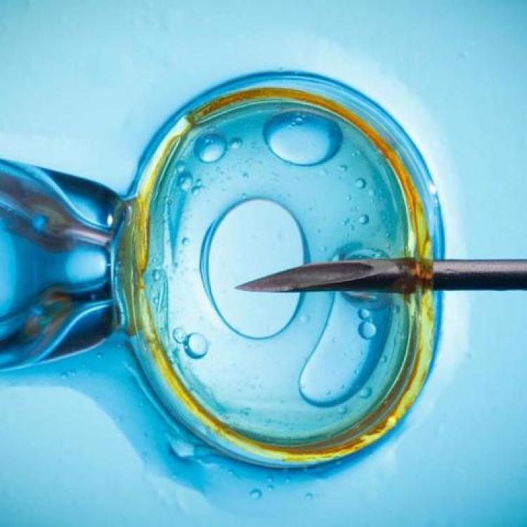 Department of Theriogenology